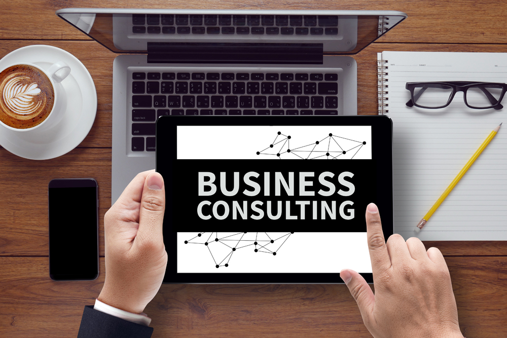 Business Consultant